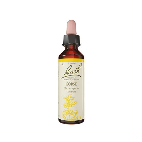 Bach Originale Blomsterremedier | Tornblad v:1083713 Bach Originale Blomsterremedier | Tornblad v:1083713