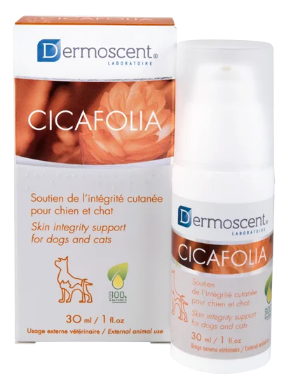 Dermoscent Cicafolia gelserum for hund og katt 30 ml v:4145527 Dermoscent Cicafolia gelserum for hund og katt 30 ml v:4145527