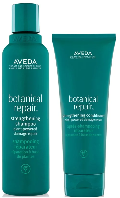 Aveda Botanical Repair Package v:6614521