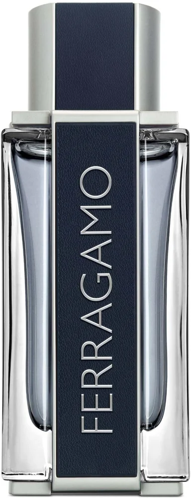 Ferragamo Ferragamo Men Eau de Toilette 100 ml v:3934621