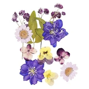 GLITTERNISTI Face Flowers Purple and Greens v:3265443