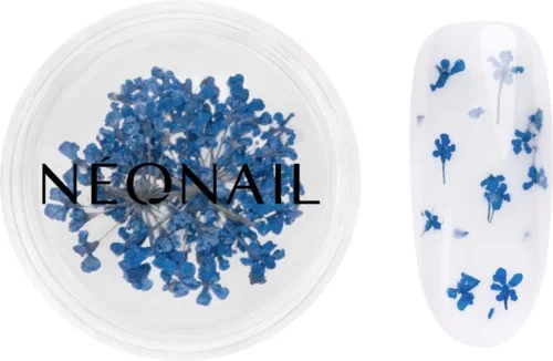 NEONAIL Dried flowers v:4550359 NEONAIL Dried flowers v:4550359