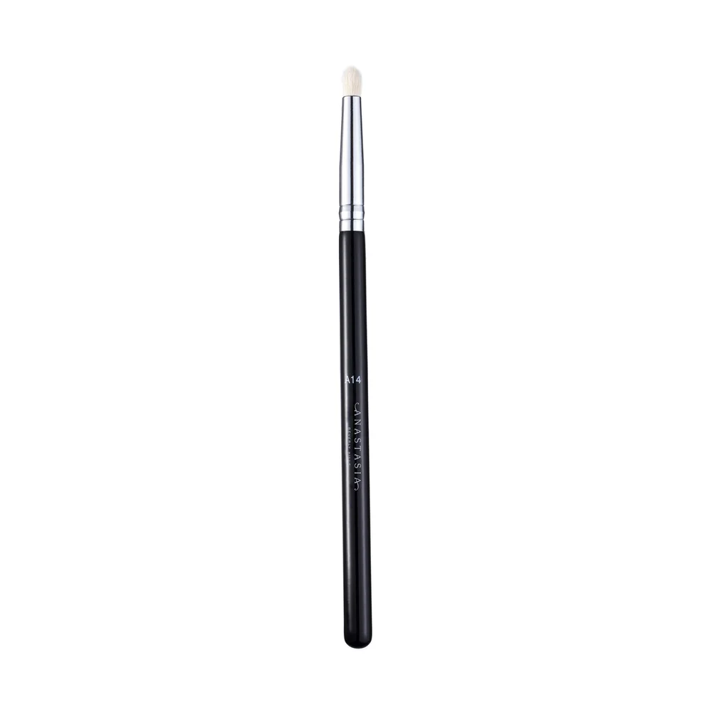 Brush A14 v:2259166