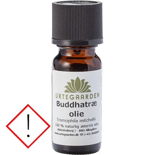 Buddhatreolje v:6778003 Buddhatreolje v:6778003